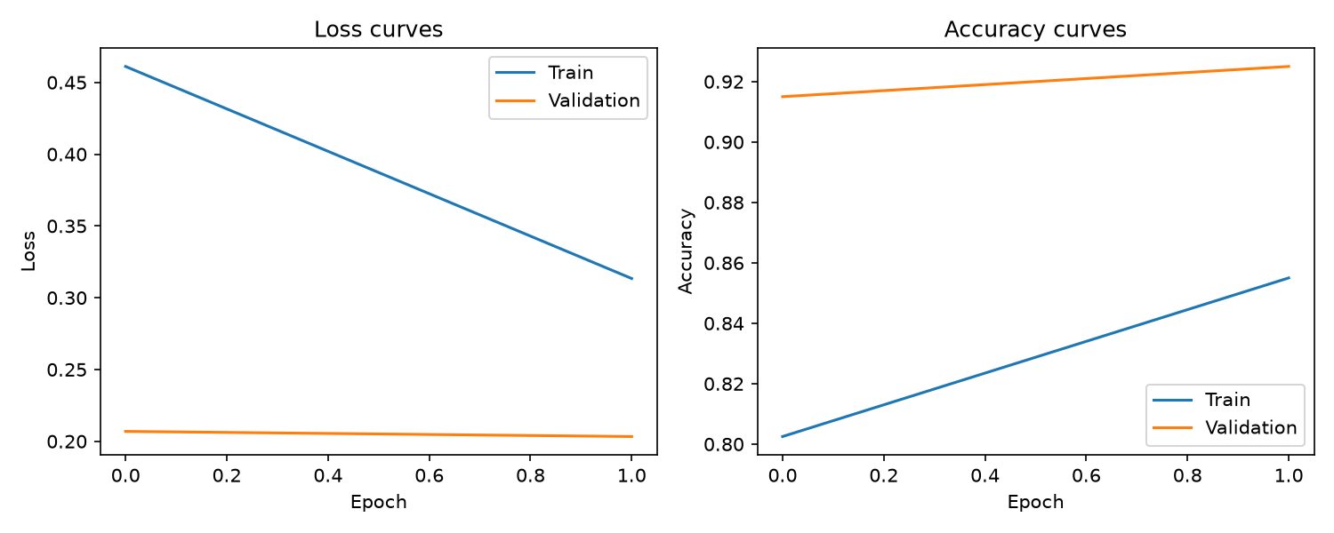 Train and validation loss and accuracy curves